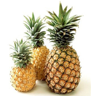 Fresh Pineapples for sale 